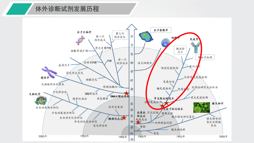 PP电子| 满冒险有趣的老虎机主题游戏