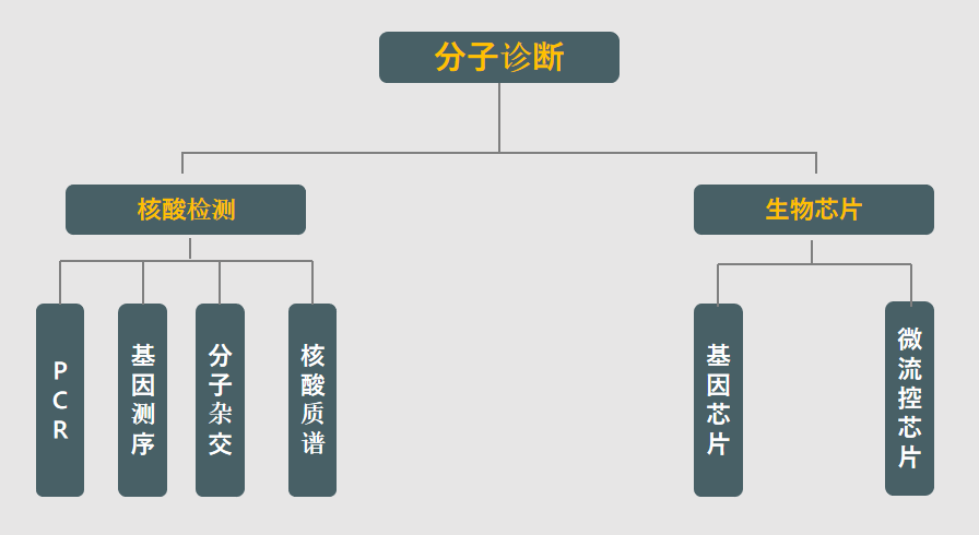 PP电子| 满冒险有趣的老虎机主题游戏